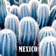 MEXICO Single
