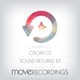 Sound Returns Single