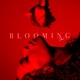 BLOOMING VOL 1 EP