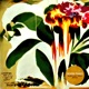 GOOD TIMES Elephant Talk Remix Single
