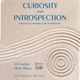 Curiosity and Introspection