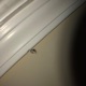 Obsticles LLD Single