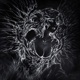 fallen veil Single