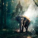 African Jungle Single