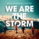 We Are the Storm Single