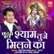 Shyam Tune Milne Ka Lofi Mix Single