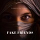 Fake Friends feat RuanB Release Single