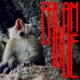 Falam Bué feat Pité Single