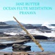 Ocean Flute Meditation Pranava EP