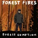 Forest Fires