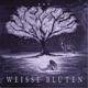 Weisse Blüten Single