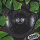Roots Single