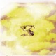 Dialt0ne II Single