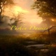 Pushin Daisies Single