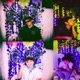 Canciones de Verano Single