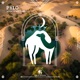 Pylo Single