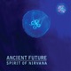 Spirit of Nirvana feat Matthew Montfort Mariah Parker Benjy Wertheimer Single