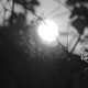 Ethereal Single