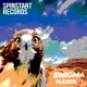 Hawk Single