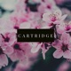 Cartridge Single