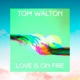 Love Is on Fire Single
