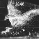 Soar Single