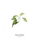 All Good Things Single