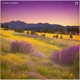 Golden Meadow Single