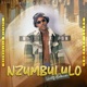 Nzumbululo EP