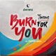 Burn for You Single