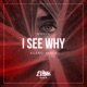 I See Why Agent Remix Single