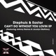 Can t Do Without You Lovin feat Diephuis Johnny Ramos EP