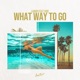 What Way to Go feat Vide Single