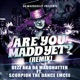 Are You Madd Yet feat Scorpion the Dance Emcee Remix Single