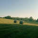 The Sunshine Single