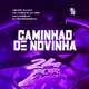 Caminhao de Novinha feat MC Fabinho da Osk Single