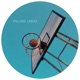 Falling Leaves Single