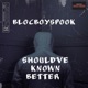 Should ve Known Better Single