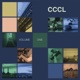Cernubicua Single