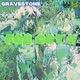 Far Cry 5 feat Gravestone Single