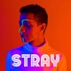 Stray Single