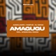 Amagugu feat Salga Single