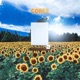 Cores Single