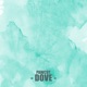 Dove Single