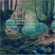 Forest Mystique Woodland Passage Single