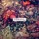 Come On Single