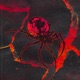 New Seasons feat Micro Single