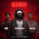 WANGU feat Pluto Hendrix SANI BOY Single