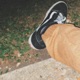 Camp Man In Chinos Single