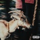 Zone De Confort Single